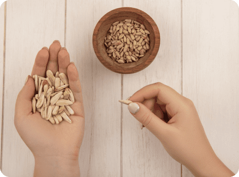 Understanding Seed Cycling For Periods, PCOS And Fertility