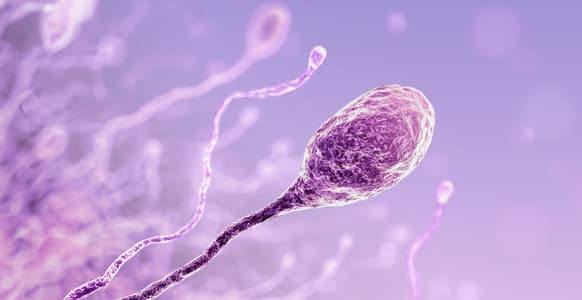 Male Infertility