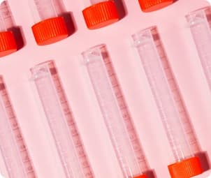 top view laboratory samples arrangement