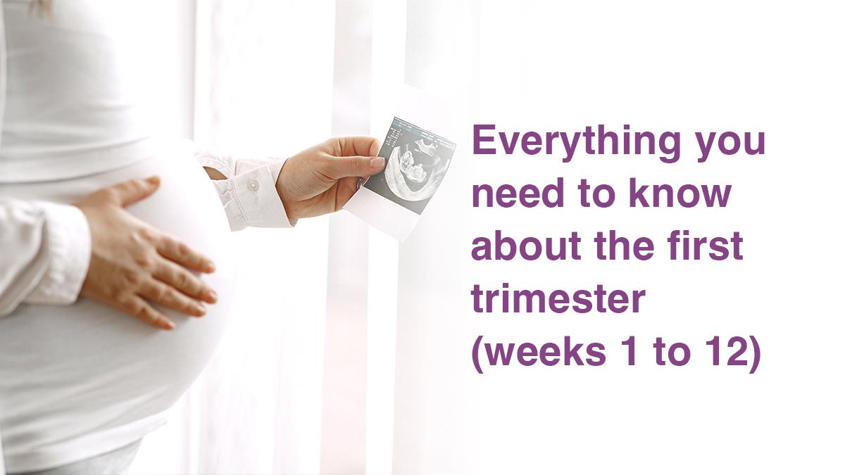 Everything you need to know about the first trimester (weeks 1 to 12)