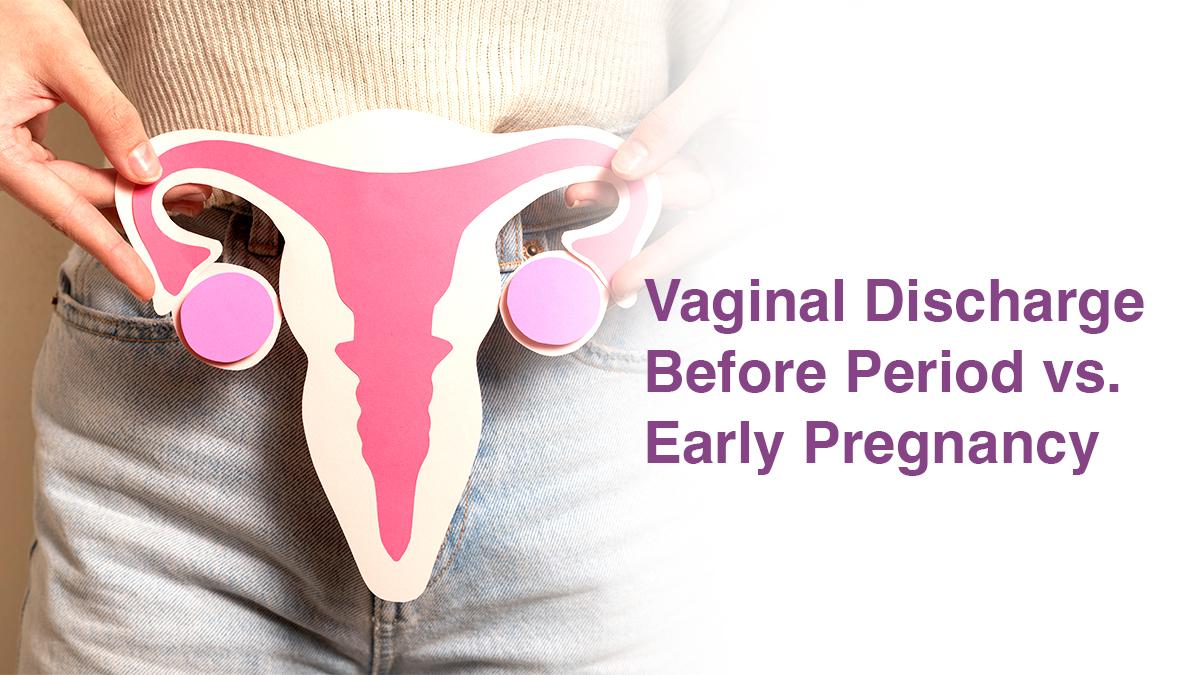 Vaginal Discharge Before Period vs. Early Pregnancy
