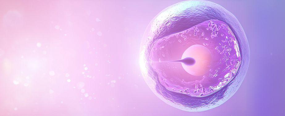 IVF