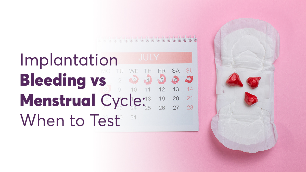 Implantation Bleeding vs. Menstrual Cycle: When to Test