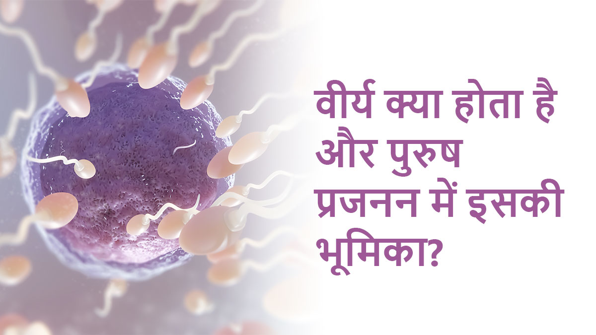 Semen Meaning in Hindi: वीर्य क्या है, कैसे बनता है और फर्टिलिटी में भूमिका