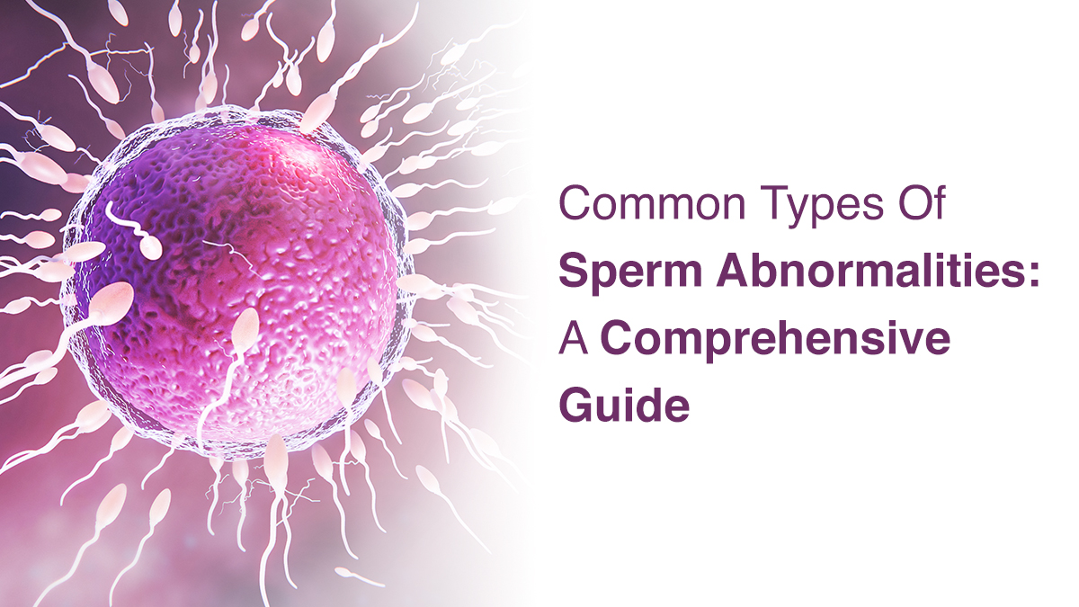 Common Types of Sperm Abnormalities: A Comprehensive Guide