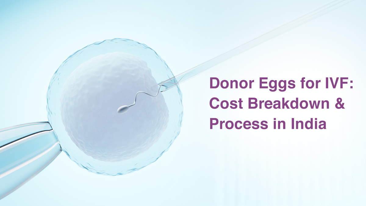Donor Eggs for IVF: Cost Breakdown & Process in India