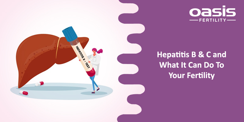 Effect of Hep B and C on female fertility
