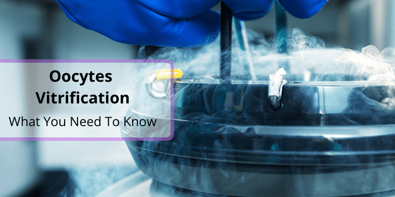 Oocytes Vitrification – What You Need To Know