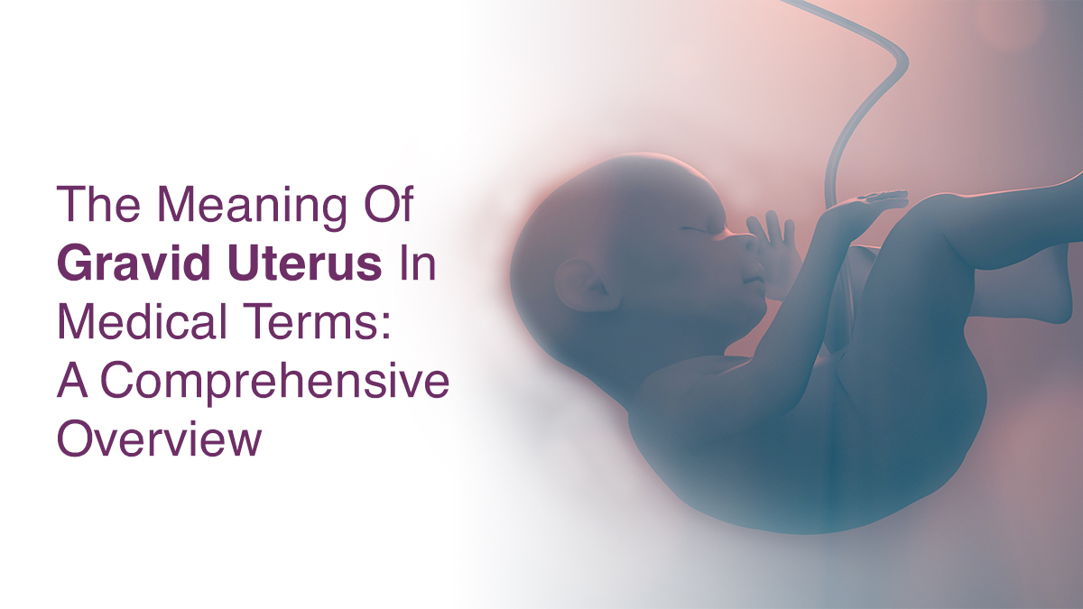 The Meaning of Gravid Uterus in Medical Terms: A Comprehensive Overview  