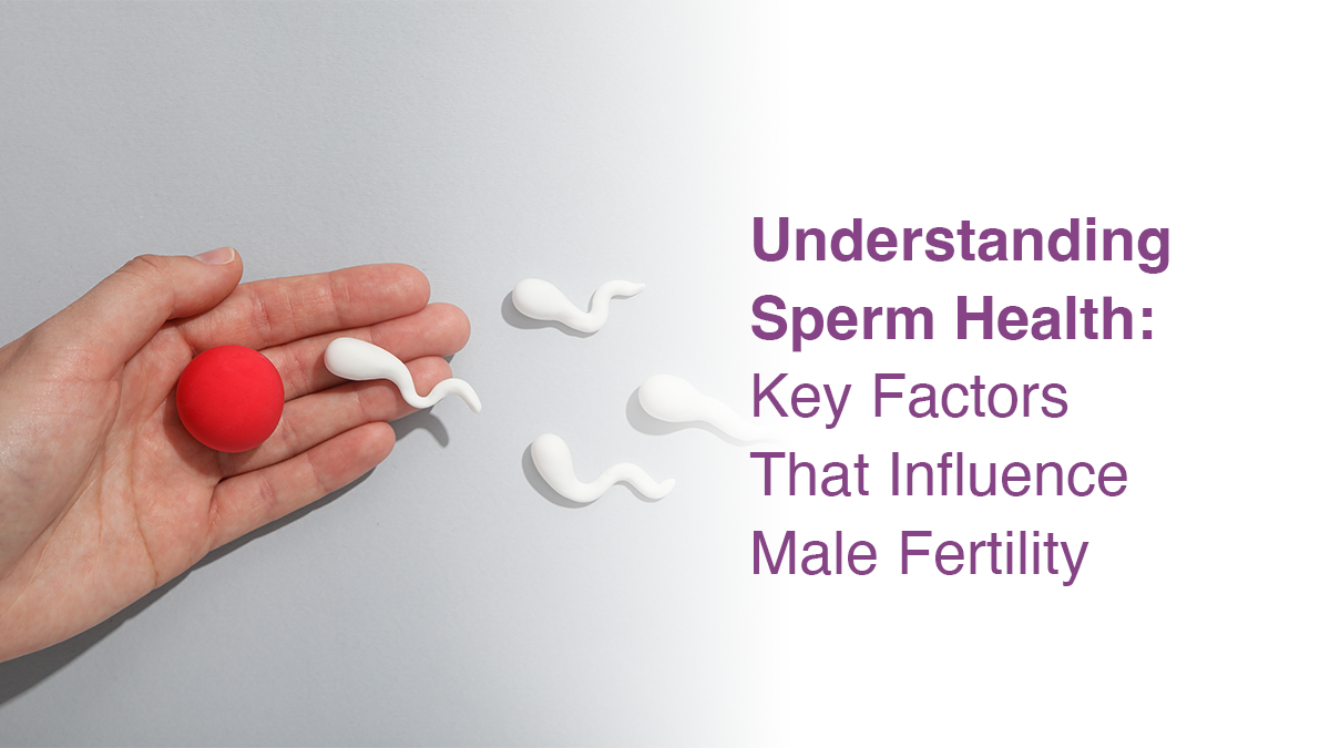 Understanding Sperm Health: Key Factors That Influence Male Fertility