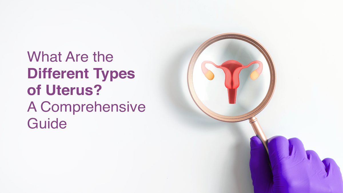 What Are the Different Types of Uterus? A Comprehensive Guide