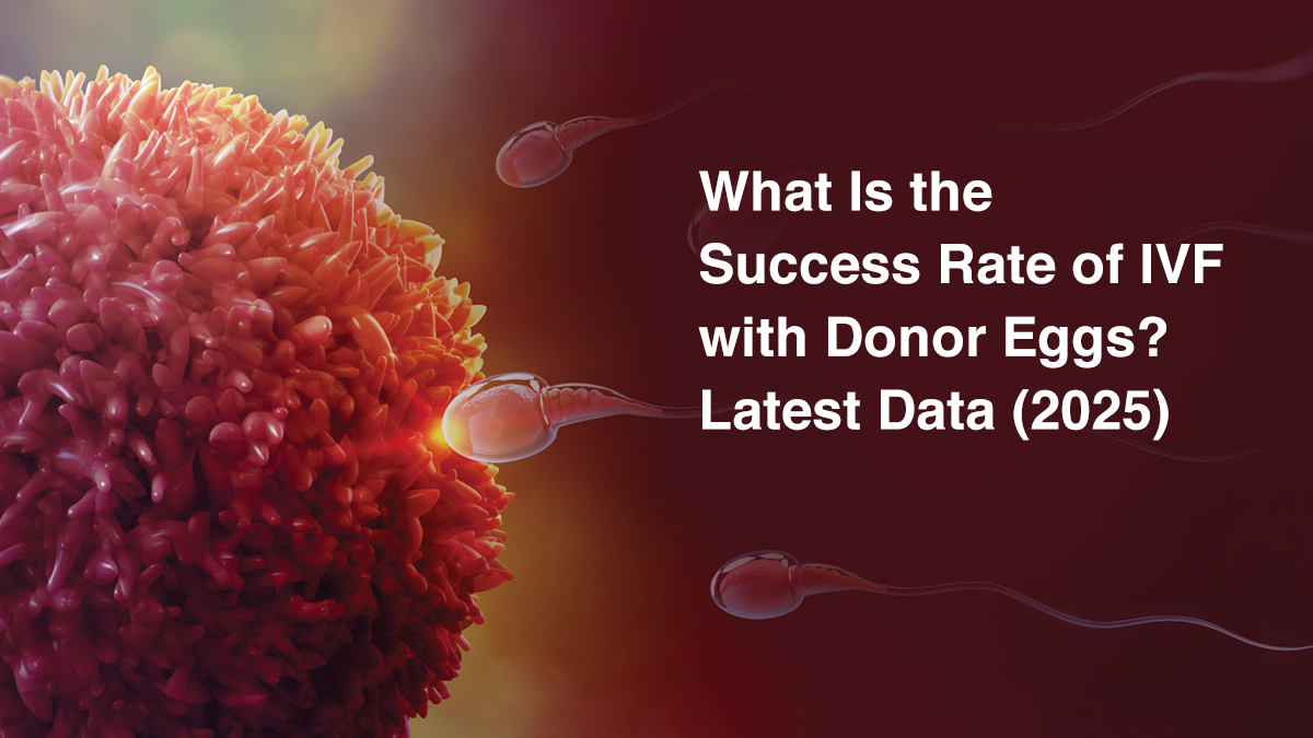 What Is the Success Rate of IVF with Donor Eggs? Latest Data (2025)