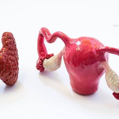 Fertility In Women & Thyroid Dysfunction
