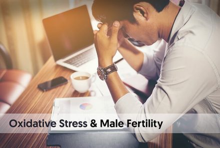 Oxidative stress and male fertility