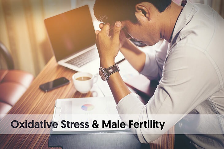 Oxidative Stress And Male Fertility Fertility Treatments Oasis Fertility