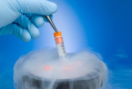 IVF – A medicinal boon for couples seeking to reproduce