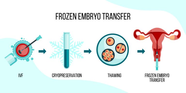 What Is a Frozen Embryo Transfer? - Oasis Fertility