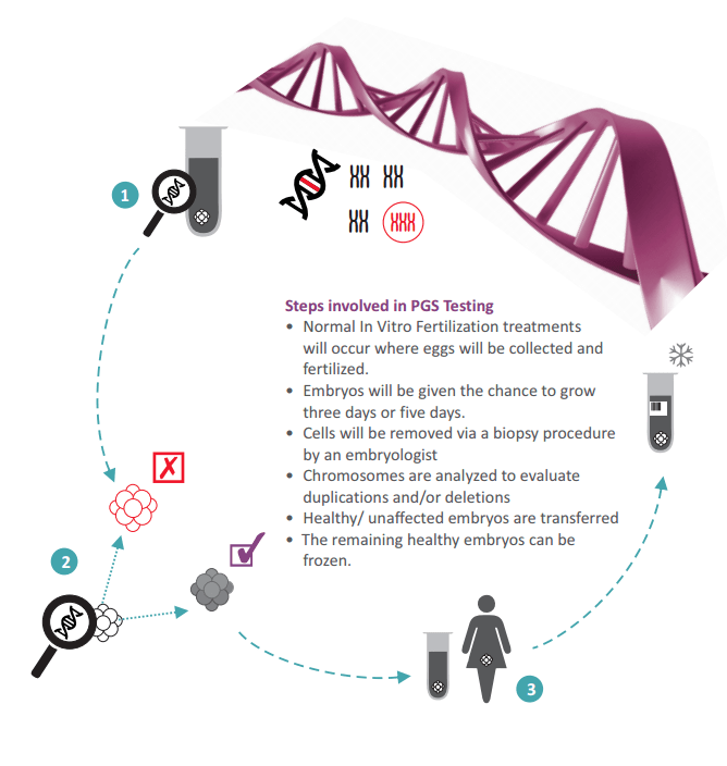 PGS - Pre Implantation Genetic Screening | Oasis Fertility