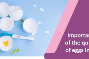 Importance of egg quality