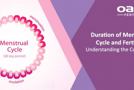 Duration of Menstrual Cycle and Fertility