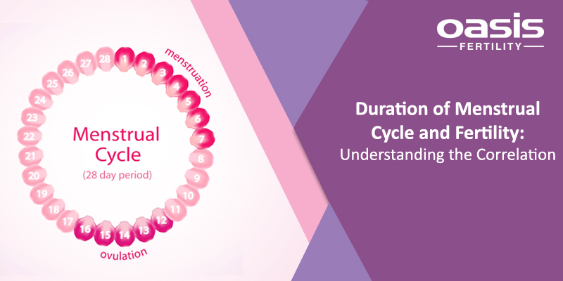 Duration of Menstrual Cycle and Fertility