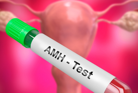 What is the Anti-Mullerian Hormone (AMH)?
