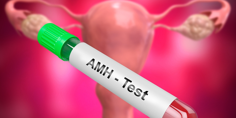 What is the Anti-Mullerian Hormone (AMH)?