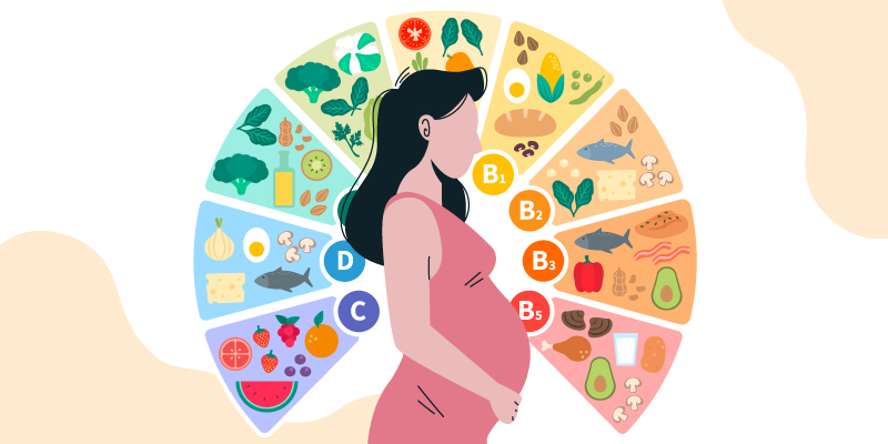 Influence of nutrition on female fertility