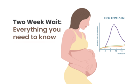 Two Week Wait: Everything you need to know- Oasis Fertility
