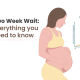 Two Week Wait: Everything you need to know- Oasis Fertility