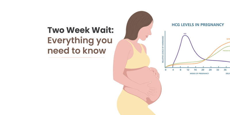 Two Week Wait: Everything you need to know- Oasis Fertility