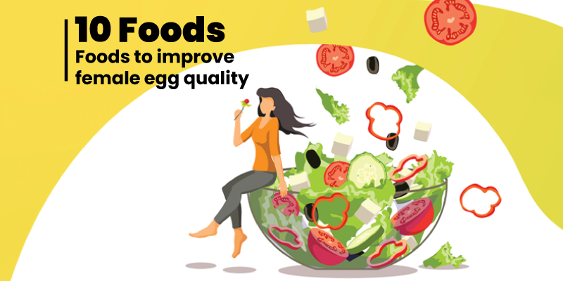 10 Foods to improve female egg quality