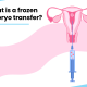 What is a frozen embryo transfer?