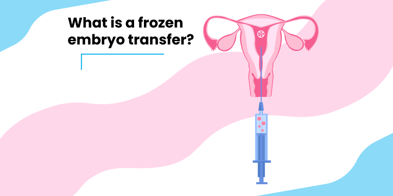 What is a frozen embryo transfer?
