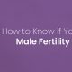 How to Know if You Need a Male Fertility Check 