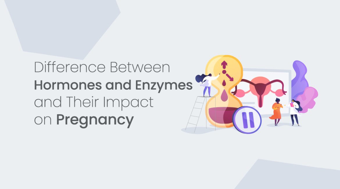 Understanding the Difference Between Hormones and Enzymes and Their Impact on Pregnancy 