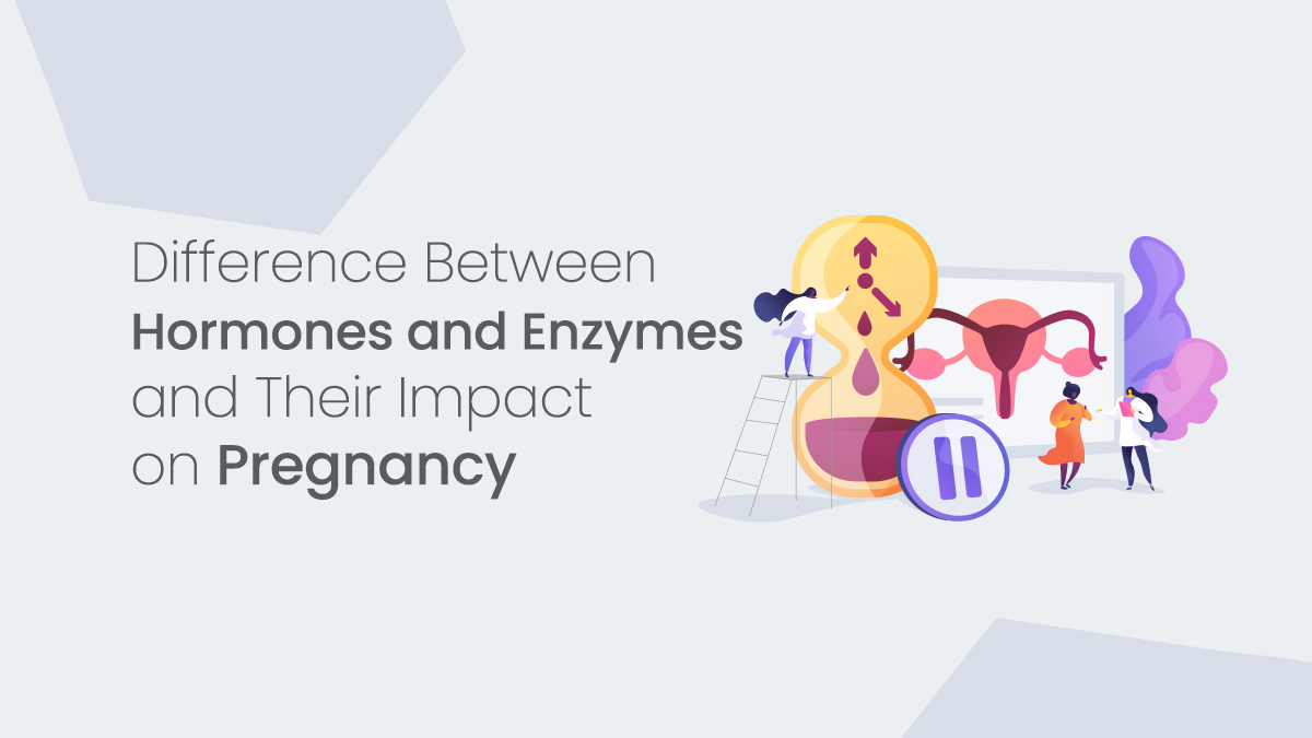 Understanding the Difference Between Hormones and Enzymes and Their Impact on Pregnancy 