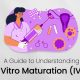 A Guide to Understanding In Vitro Maturation (IVM)