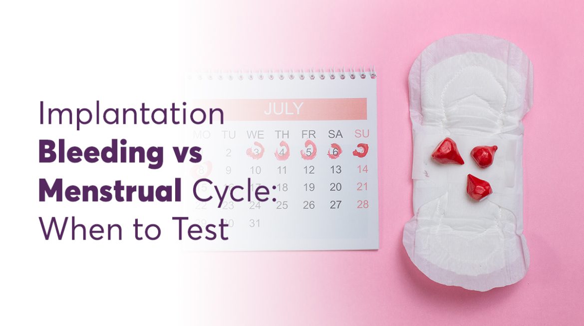 Implantation Bleeding vs. Menstrual Cycle: When to Test