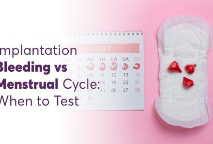 Implantation Bleeding vs. Menstrual Cycle: When to Test