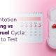 Implantation Bleeding vs. Menstrual Cycle: When to Test