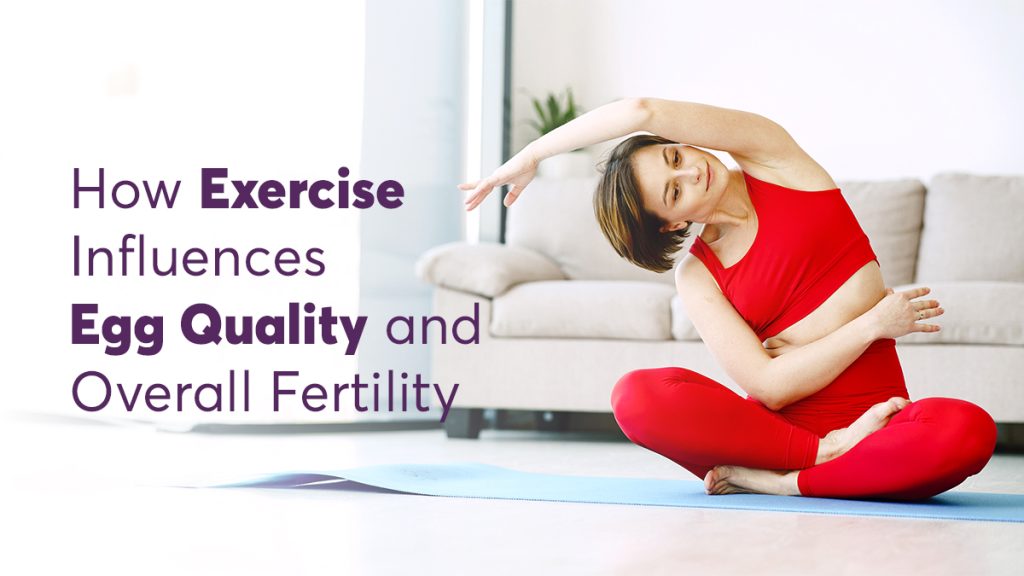 How Exercise Influences Egg Quality and Overall Fertility