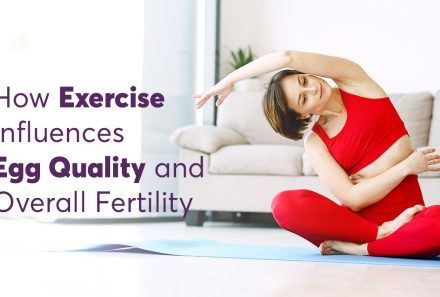 How Exercise Influences Egg Quality and Overall Fertility 