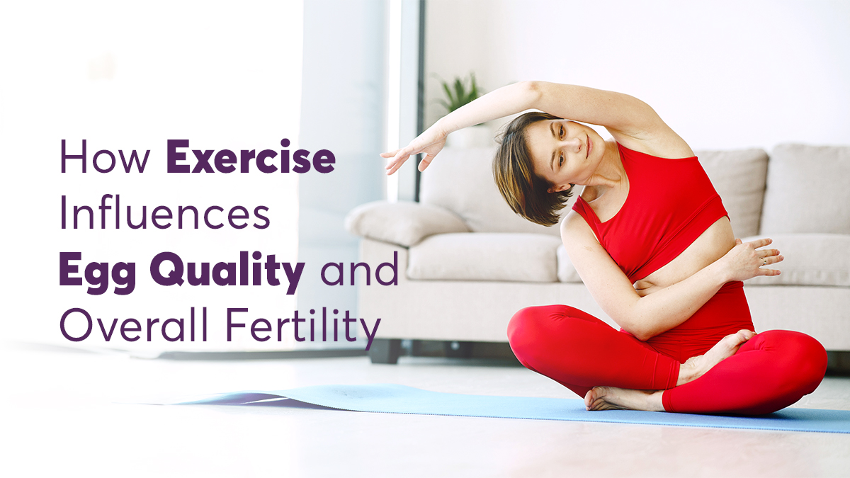 How Exercise Influences Egg Quality and Overall Fertility 