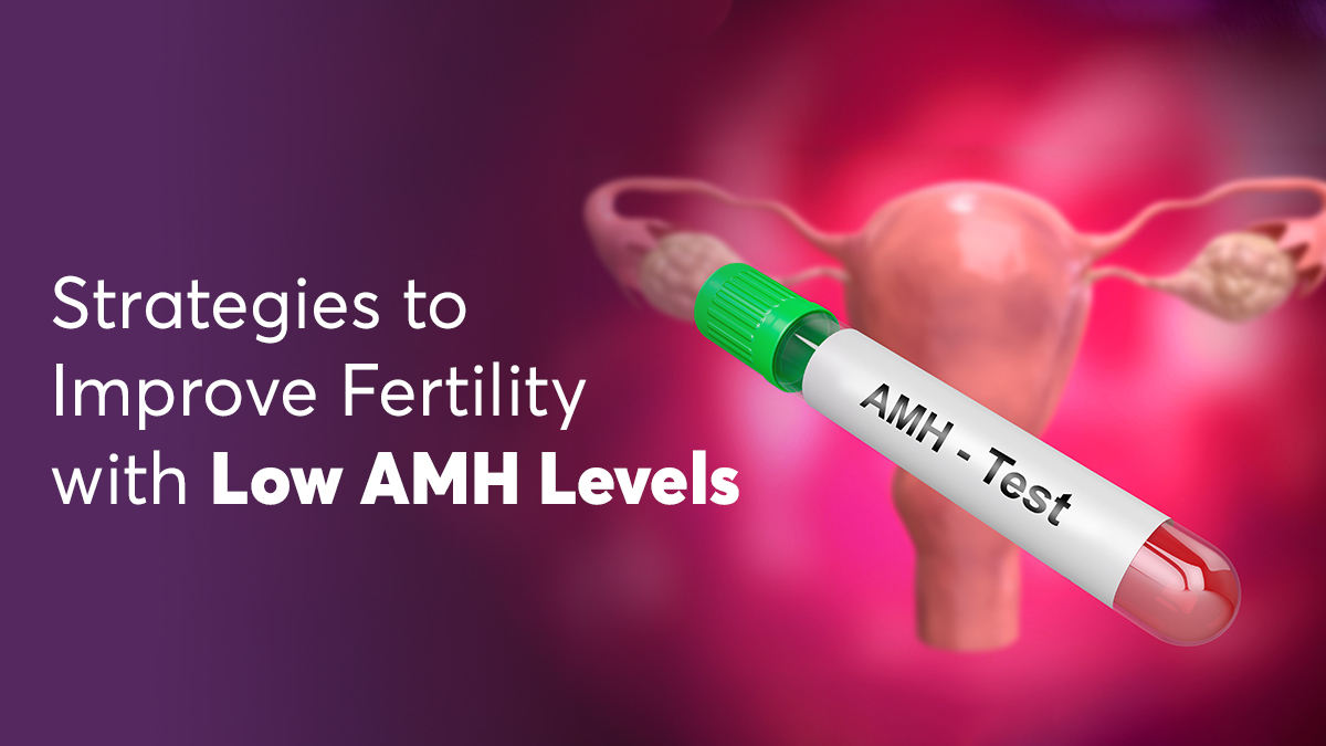 Strategies to Improve Fertility with Low AMH Levels 