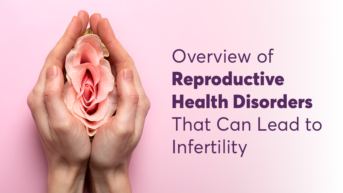 Overview of Reproductive Health Disorders That Can Lead to Infertility 