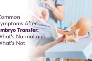 Common Symptoms After Embryo Transfer: What’s Normal?