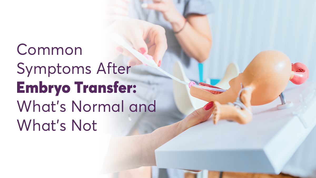 Common Symptoms After Embryo Transfer: What’s Normal?