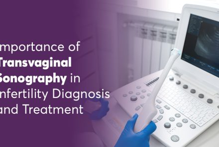 Importance of Transvaginal Sonography in Infertility Diagnosis and Treatment