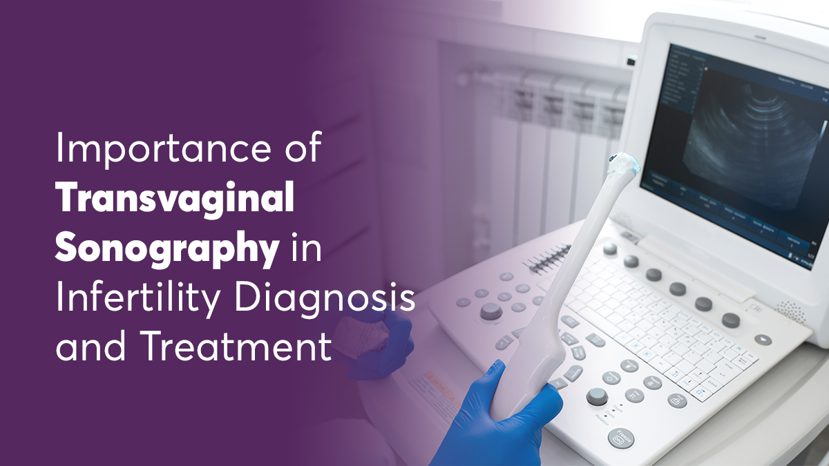 Importance of Transvaginal Sonography in Infertility Diagnosis and Treatment